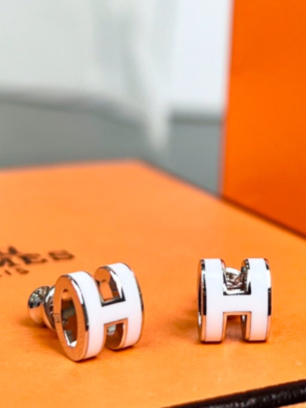 Hermes earrings